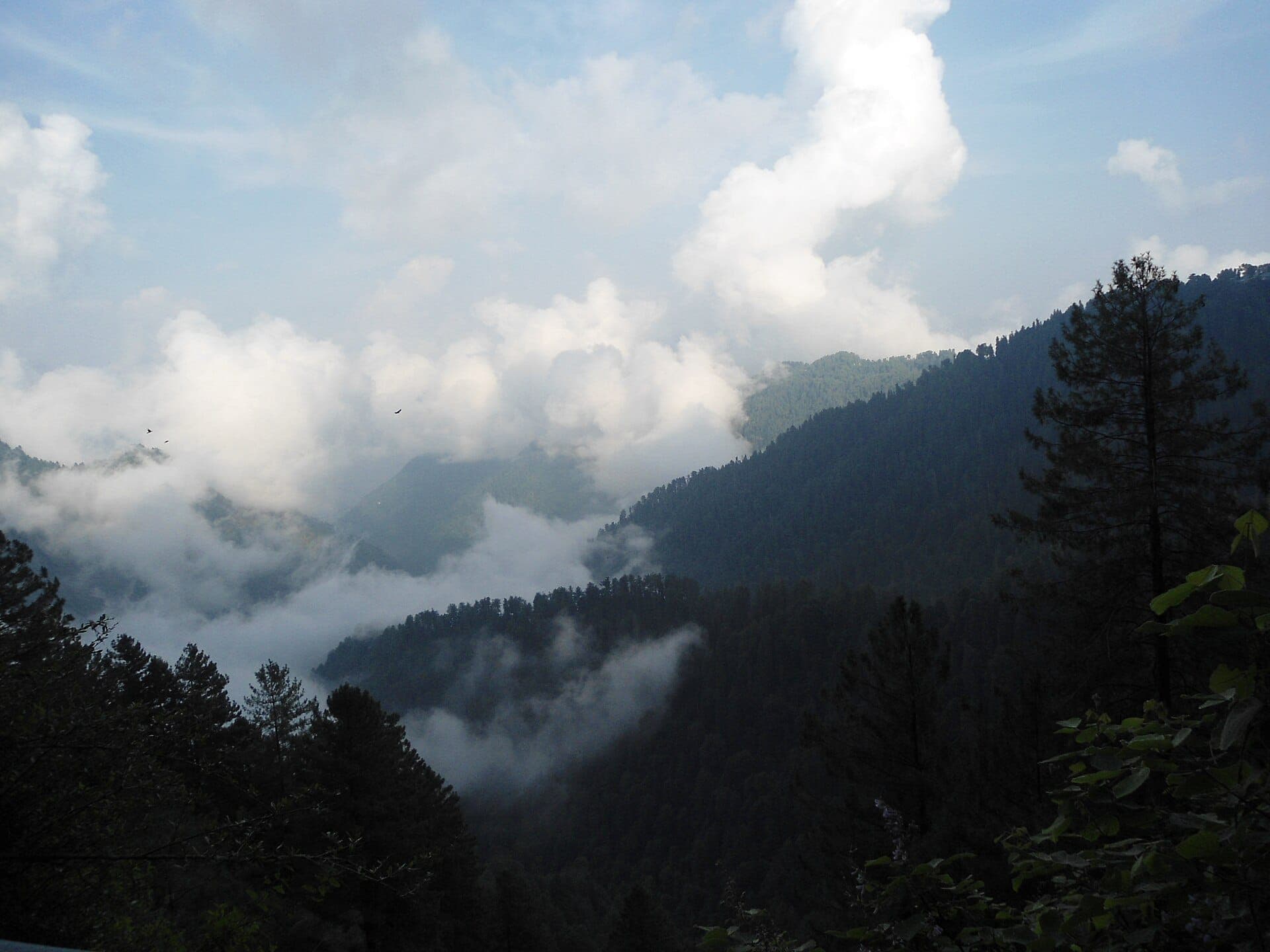 Ayubia Day Trip From Islamabad
