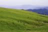 Dheer Kot (Dhirkot)