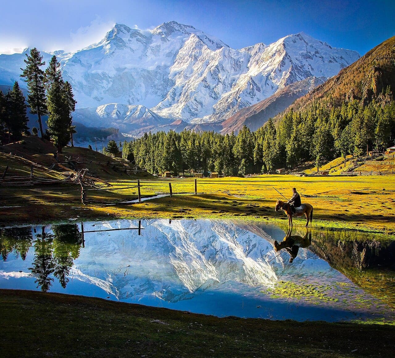 Nanga Parbat above Fairy Meadows