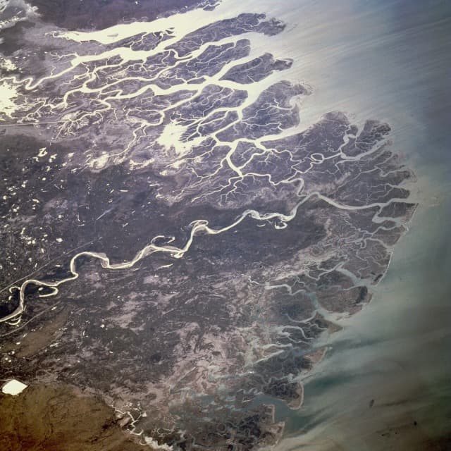 Indus Delta