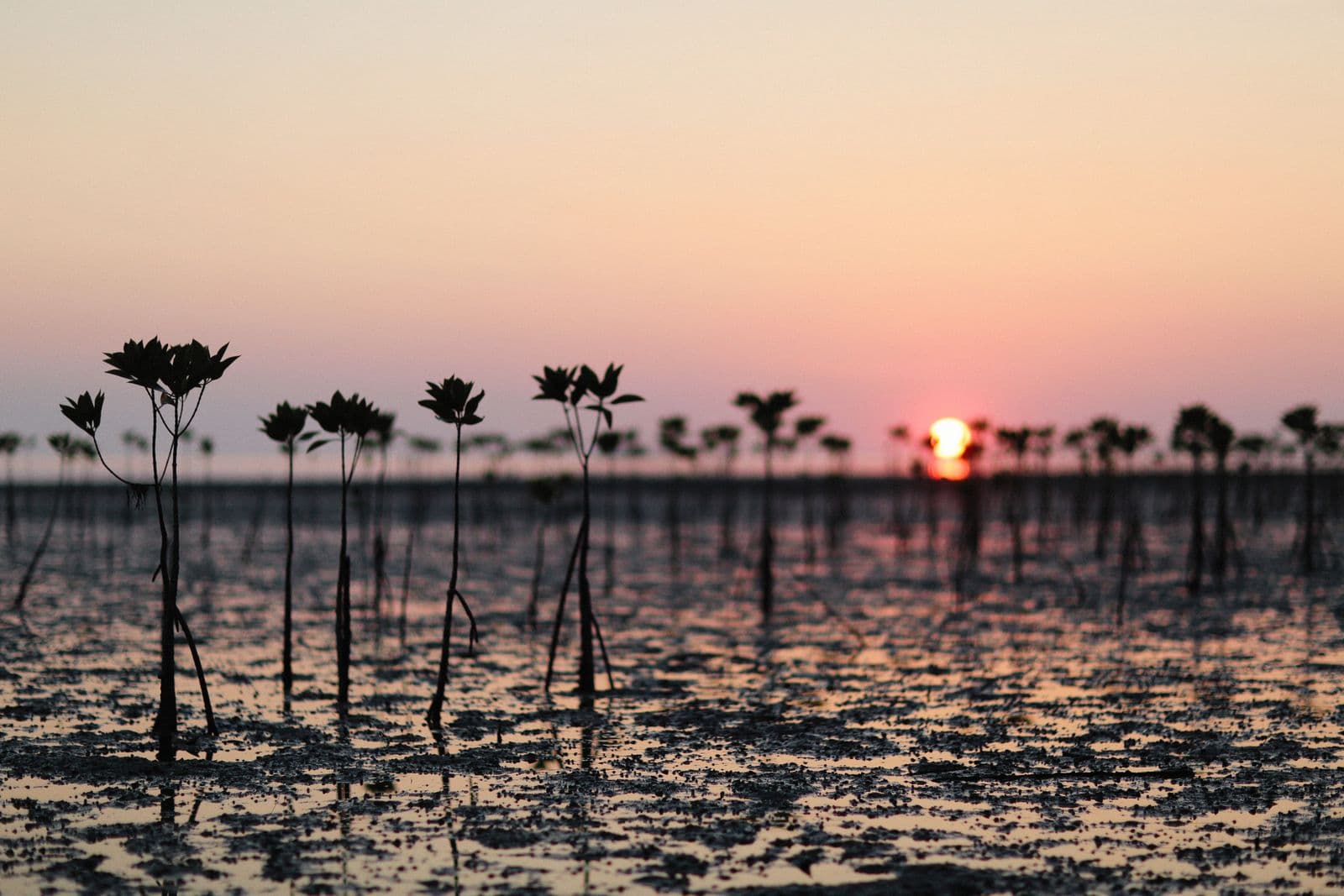 Miani Hor Lagoon