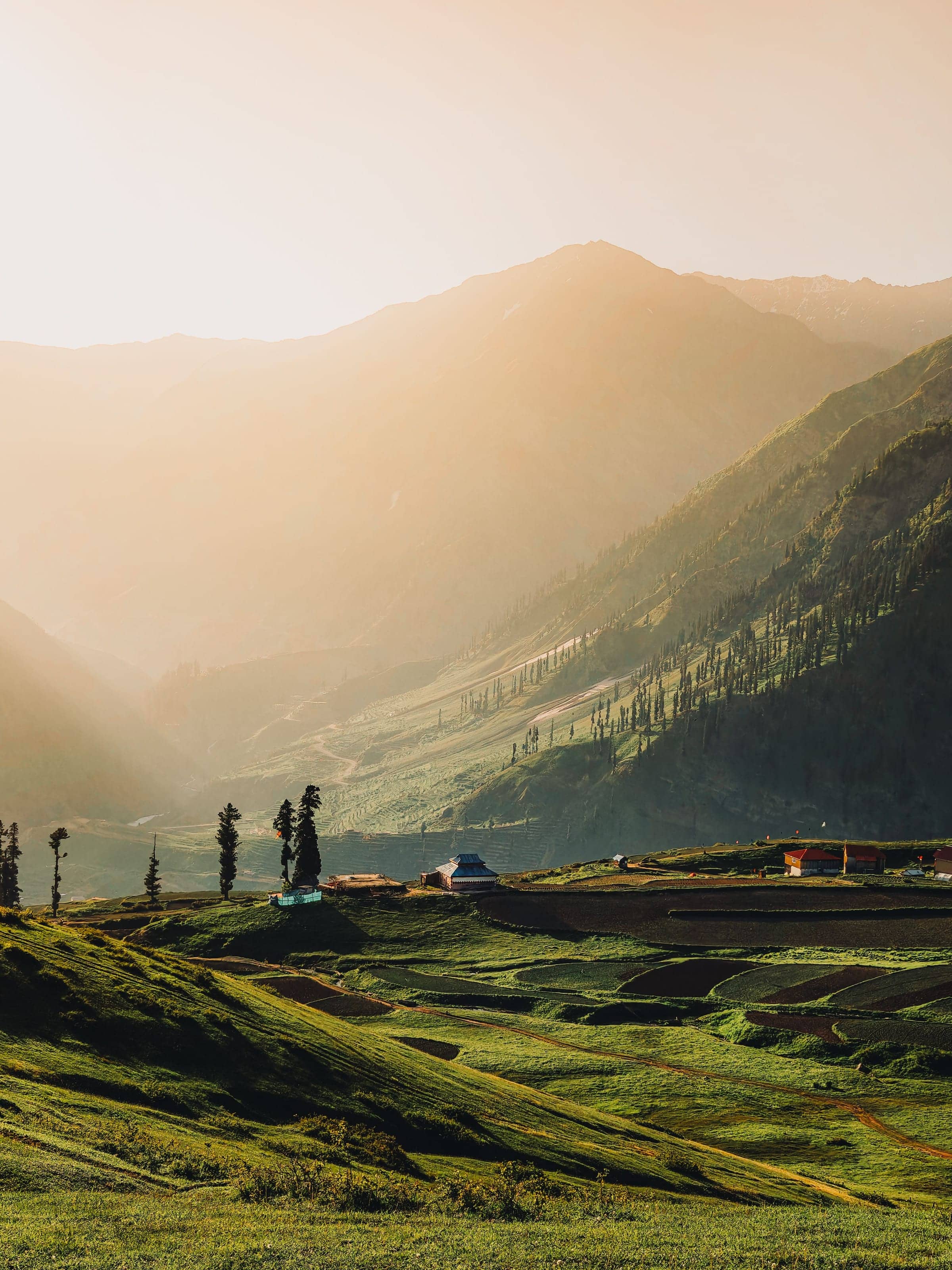 Naran
