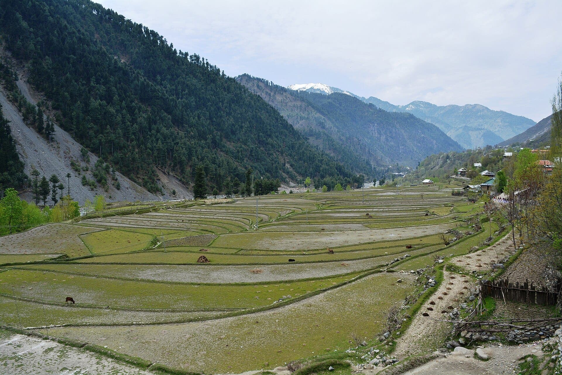 Leepa Valley