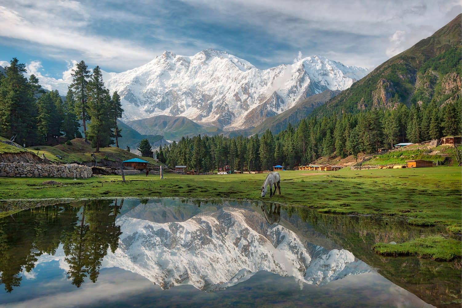 Fairy Meadows grassland with Nanga Parbat reflected in a pond