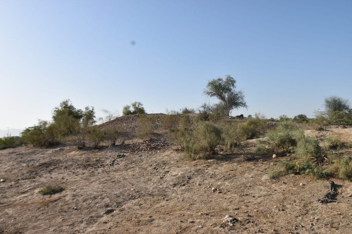 Mound Amri
