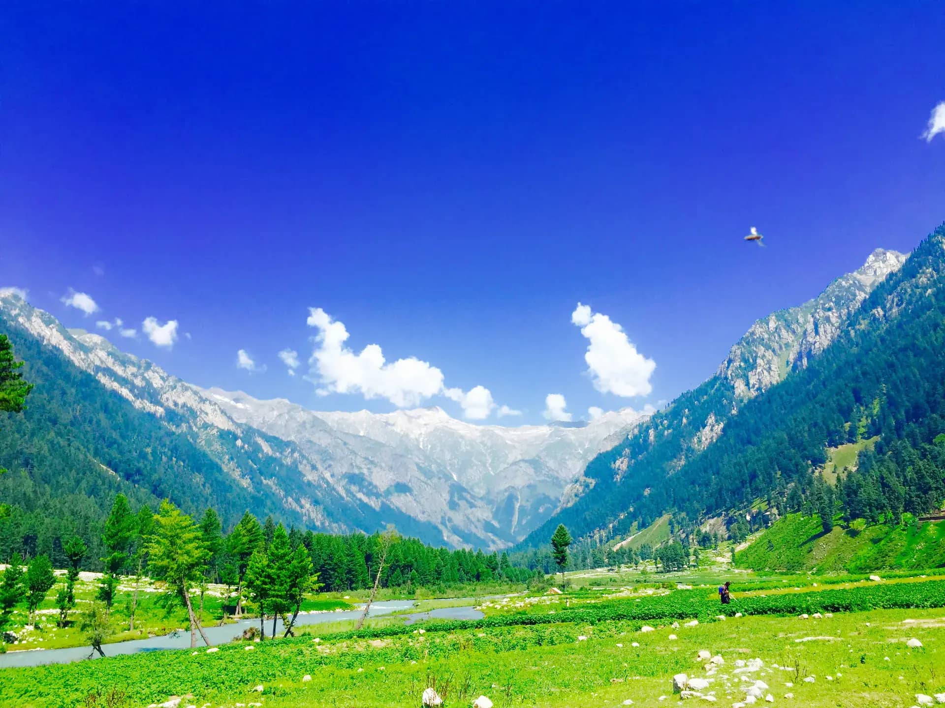 Kumrat Valley