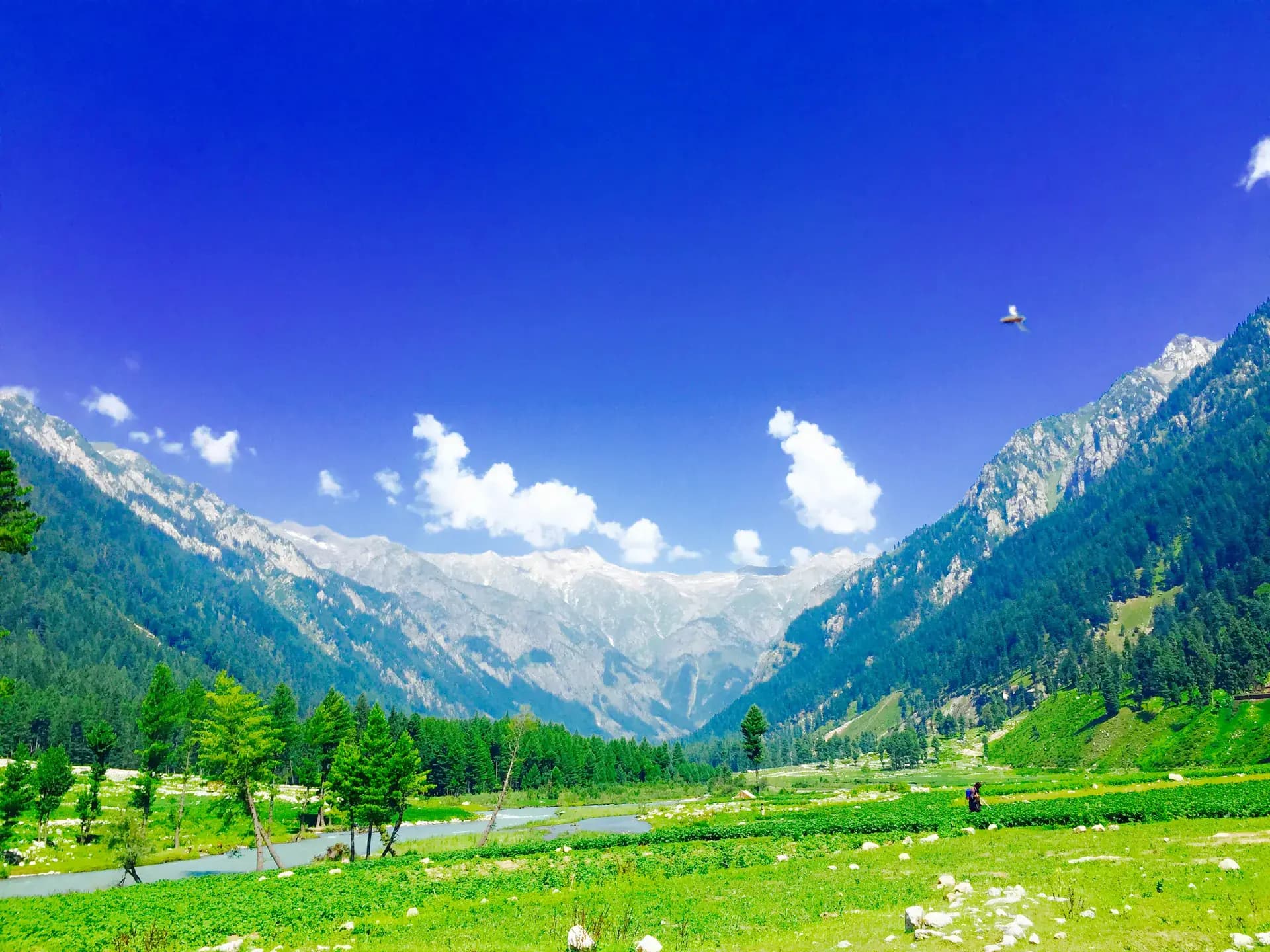 Kumrat Valley