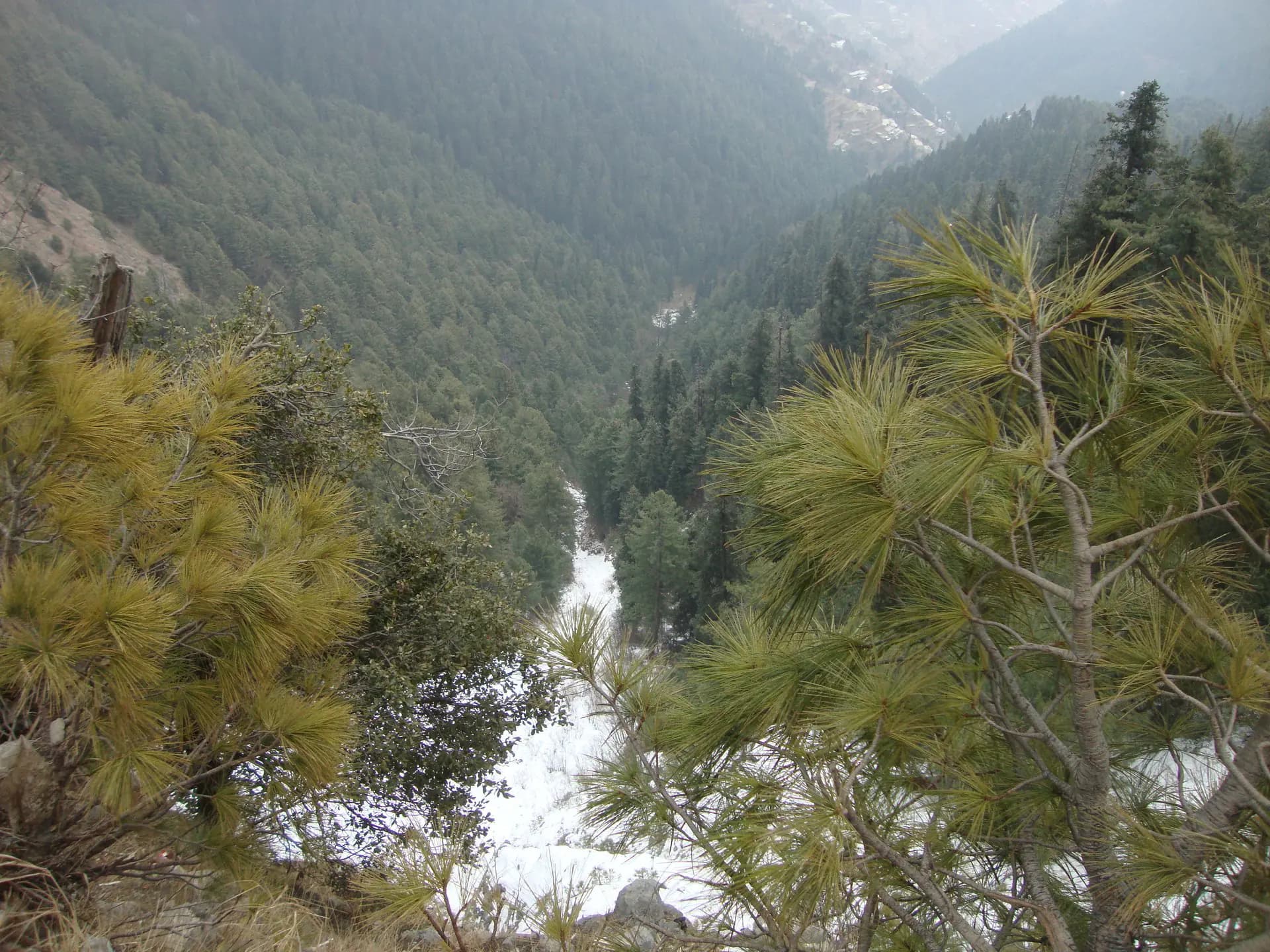 Nathia Gali
