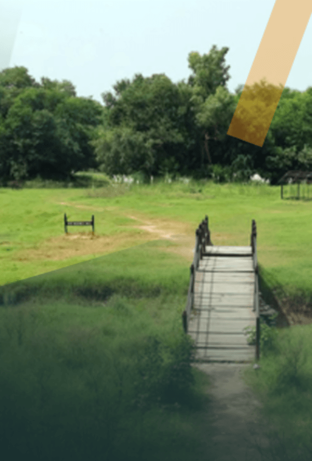 Pabbi and Rasul Reserve Forest